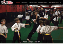Tablet Screenshot of karatekjs.com
